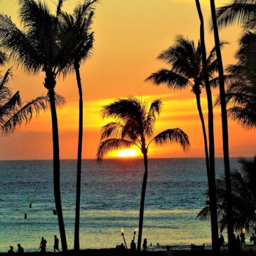 Hawaii föreslår turistavgift för att finansiera miljöskydd
