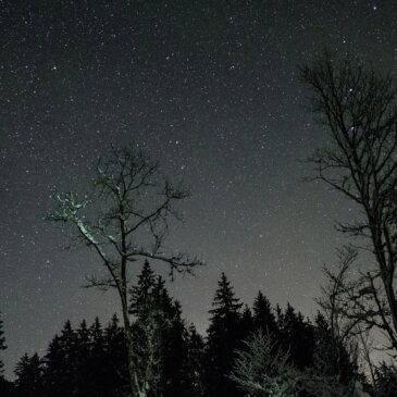 Himmelska läckerheter: Natthimlen i februari bjuder på en stjärnspäckad showcase