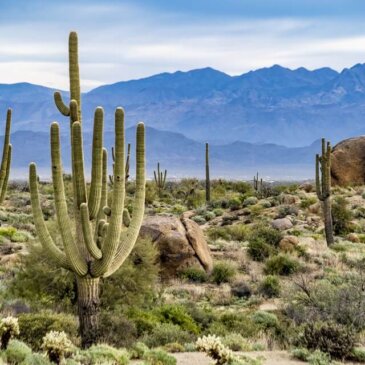 Visum för Arizona